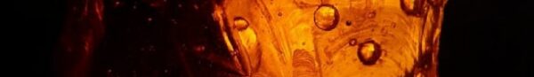 Amber Package Organizational Risk Management Survey - Dedicated Hosting - Booking