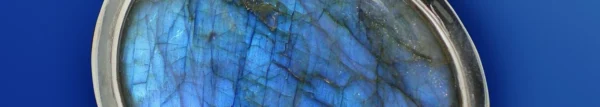 labradorite-1676.webp Labradotite Package Customer Risk Management Survey - Dedicated Surveys Hosting - BOOKING